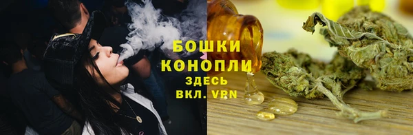 PSILOCYBIN Балахна