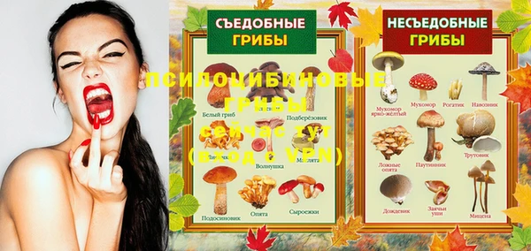 PSILOCYBIN Балахна