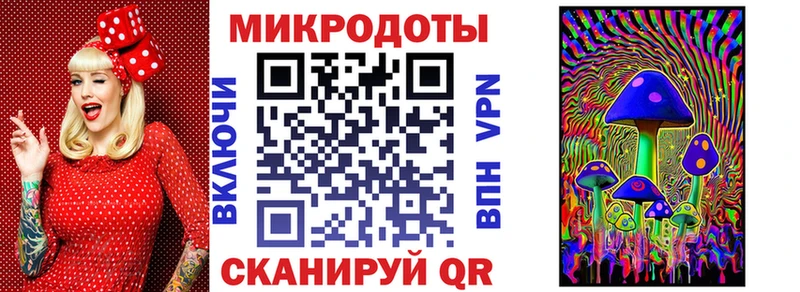 Галлюциногенные грибы Psilocybe закладки Озёры